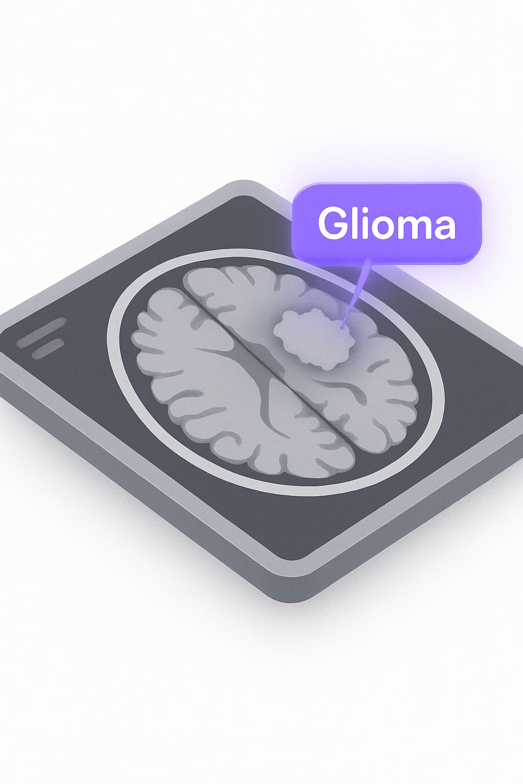 Brain Tumor Detection CNN preview